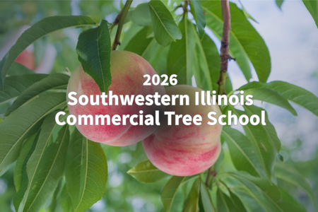 Peaches on a tree with 2026 Southwestern Illinois Commercial Tree Fruit School text.