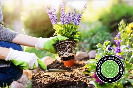 A gardener planting a flower with the Master Gardener logo.