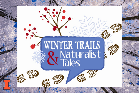 Winter Trails and naturalist tales