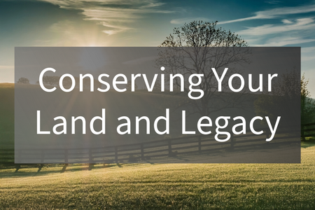 Field of grass with tree and fence
