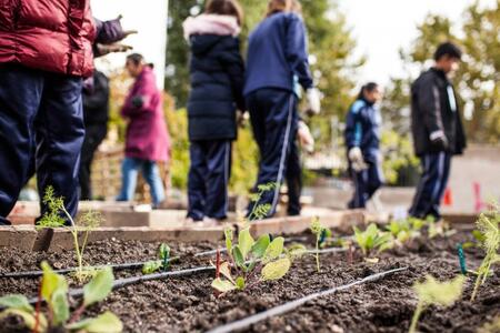 Community members in a garden with plants starting to grow 