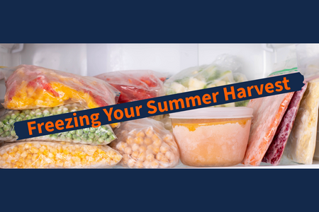 Frozen fruits and vegetables in freezer