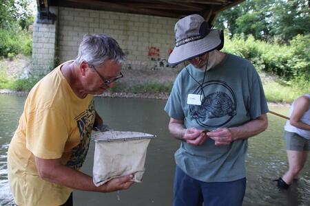 Master Naturalists standing in the river as they participate in Illinois RiverWatch training.