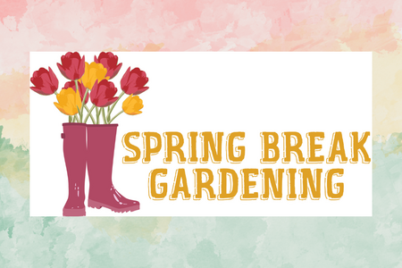 Rain boots with flowers in them