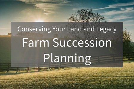 pasture scene with tree