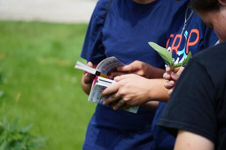 A team of youth analyzing a plant and using a book to research crop facts