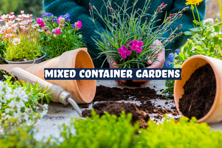 Flowerpots with flowers