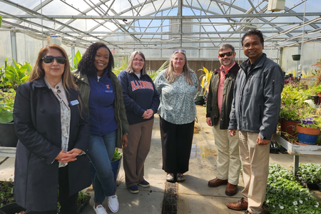 Six people, some wearing branded University of Illinois apparel, stand inside a greenhouse