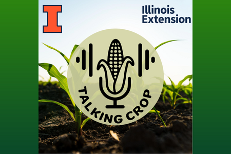 corn filed with talking crop logo