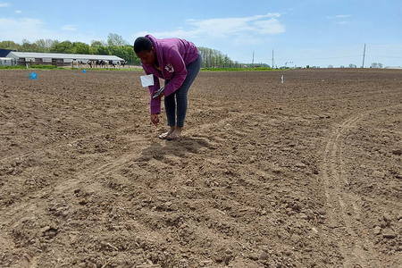 a woman planting flags in a dirt field