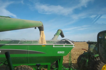 grain flowing into a wagon