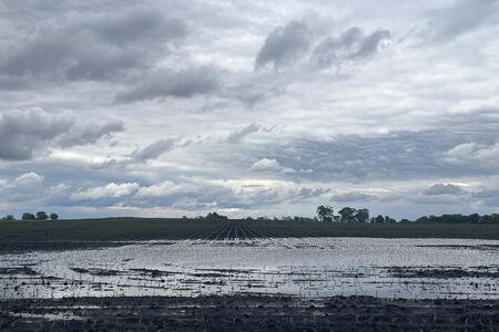 farm land with standing water