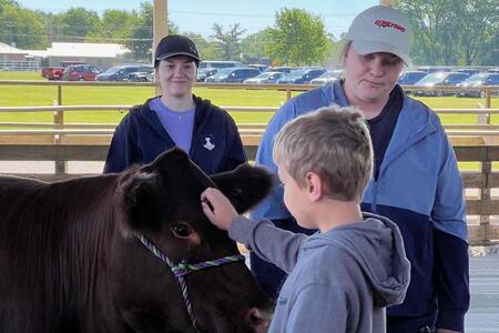 a boy petting a heifer