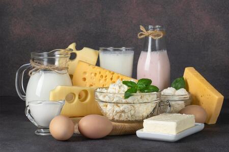 assorted cheeses, yogurt, kiefer, milk