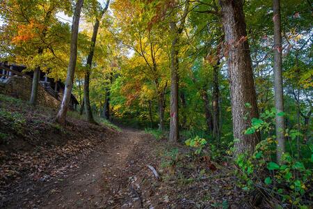 A dirt path through an Illinois forest in fall