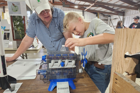 A 4-H member shows a project to a volunteer judge