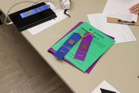 A 4-H blue ribbon and an Illinois State Fair delegate ribbon on top of a green paper that says "Congratulations!"