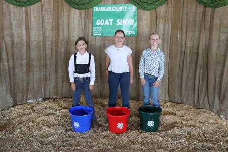 Franklin County 4-H Junior Showmanship winners for goats.