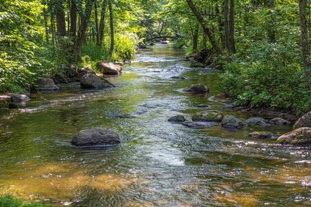 a creek with large rocks flowing through a forest