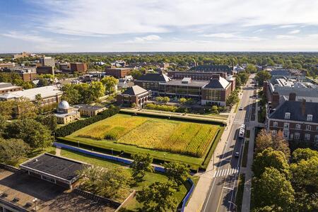 A field of crops, the Morrow Plot, on the U of I campus