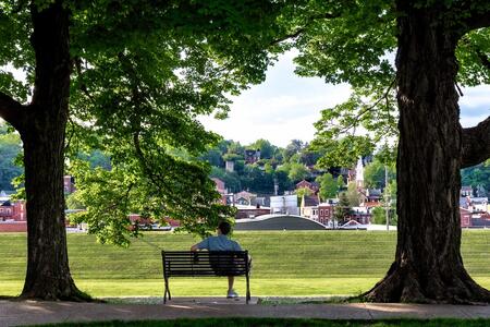 A person sitting on a park bench between two large trees, overseeing a small city in the far distance.