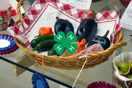 A variety of peppers in a wicker bowl with aa red and white gingham lining.