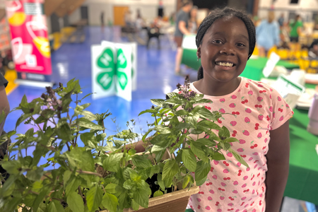 Girl with fresh herbs planted in a pot