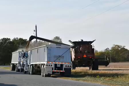A red combine auger unloading into semi trucks near a roadside and powerlines.