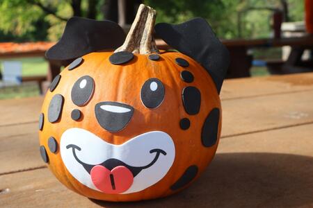 pumpkin decorated with leopard face