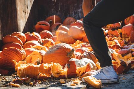 A person smashing a pumpkin in an open dumpster used for recycling and composting.