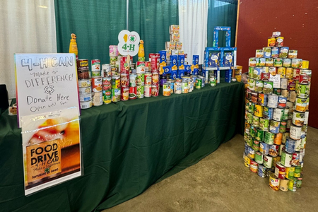 Cans stacked decoratively at the food drive booth.