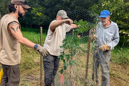 Master Naturalists planting oak trees. 