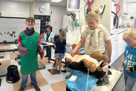Two 4-H members practice veterinary skills, including wearing protective equipment and examining a stuffed animal on a veterinary table.