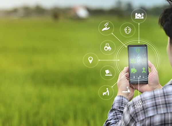 farmer in field with smart phone