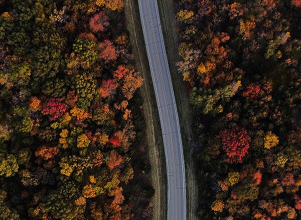 road thru fall forest