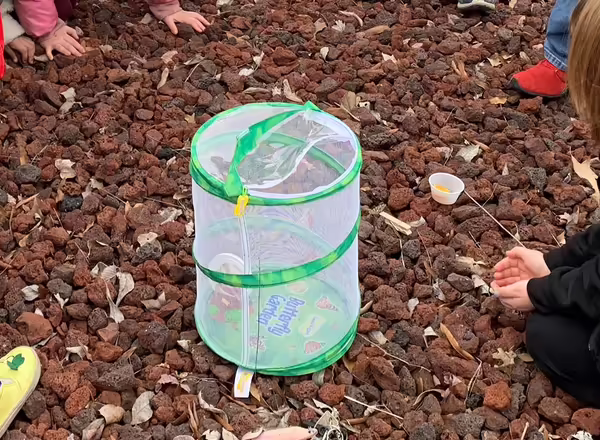 butterfly net on ground in middle of youth