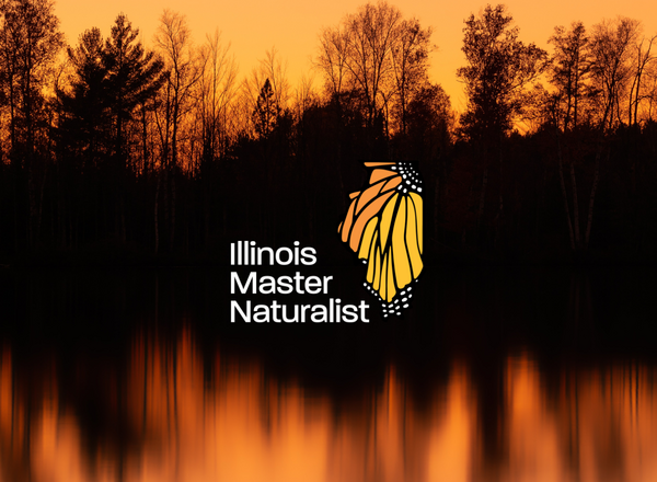sunset sky with tree line silhouette and Illinois Master Naturalist logo
