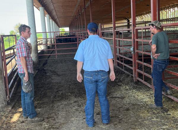 3 people in cattle barn
