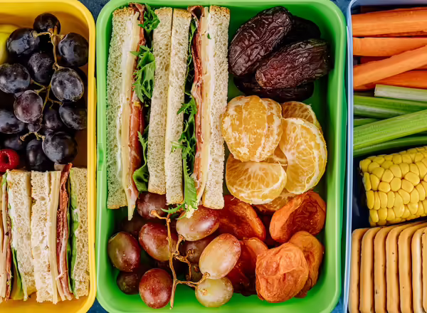 Photo of lunch boxed packed with healthy food.