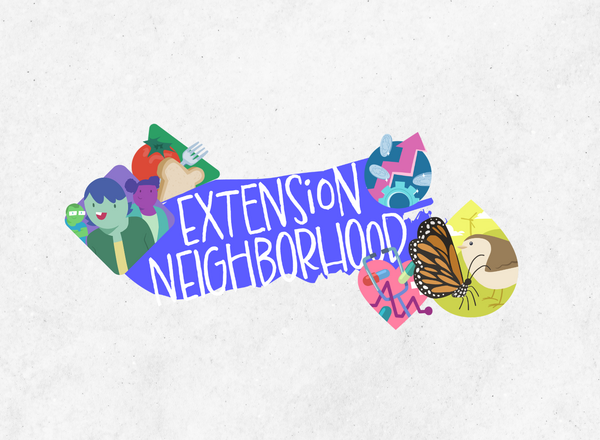 Extension Neighborhood