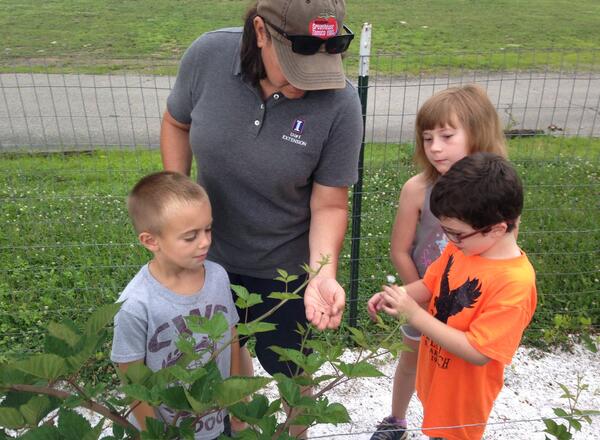 Photo of local foods educator teaching children in garden