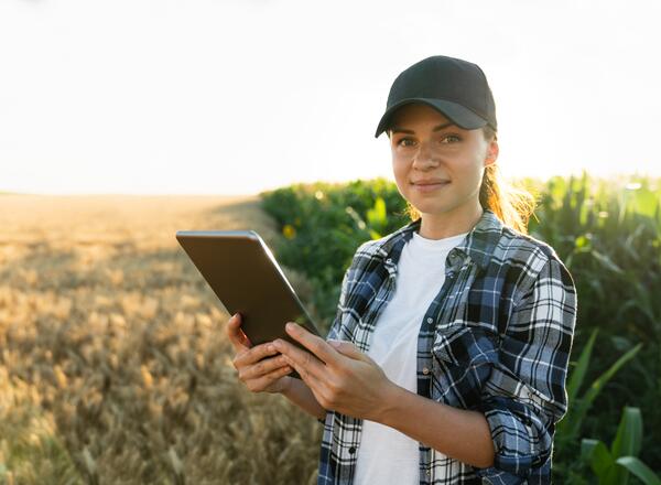young woman holding tablet standing in cornfield