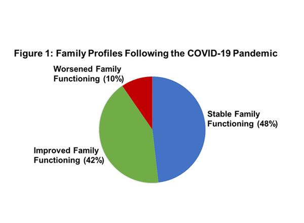 chart of family resilientcy we found three distinct family profiles, which were classified as worsened family functioning (10% of sample), stable family functioning (48% of sample), and improved family functioning (42% of sample)