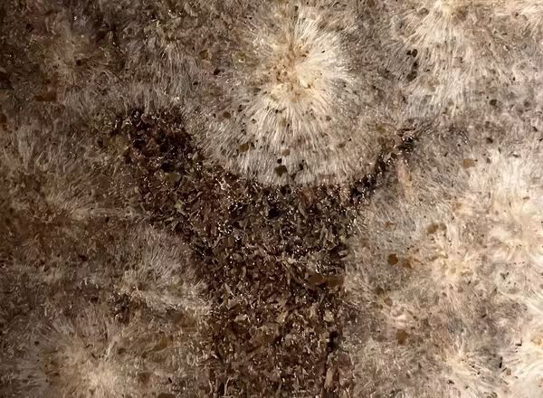 successful spawn run in substrate