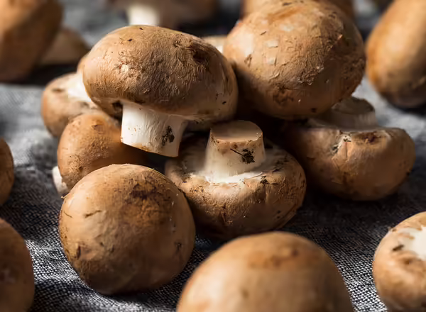 baby bella mushrooms