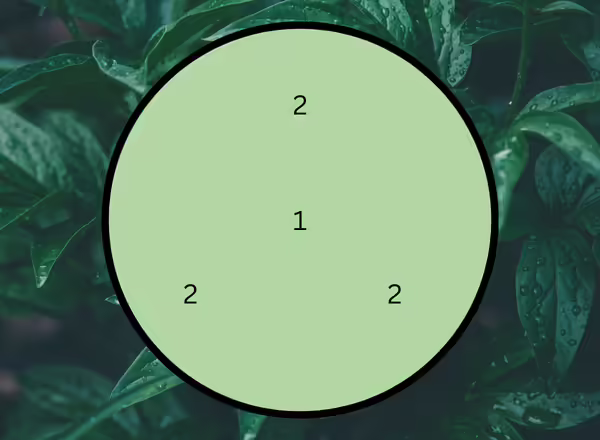 A diagram showing how to make A Exciting Texture for Semi-Shade