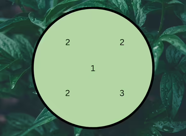 A diagram showing how to make A Focus on Sumac