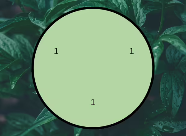 A diagram showing how to make A High Impact Using a Single Plant Type