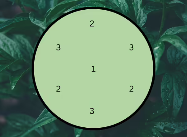 A diagram showing how to make A Japanese Maple with Vines