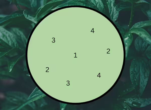 A diagram showing how to make A Leaf Interest and Color